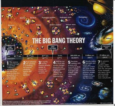 Evolutionist Or A Creationist?