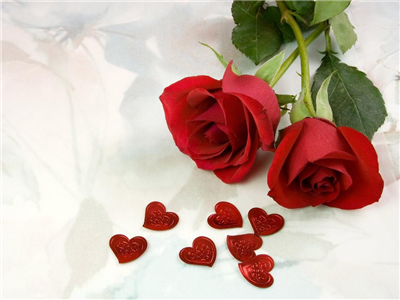 Happy Valentines day
