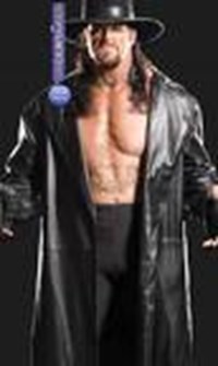 Wwe De Hangi Karaktersin