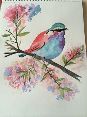 Hangi Kuşsun?🦜😆