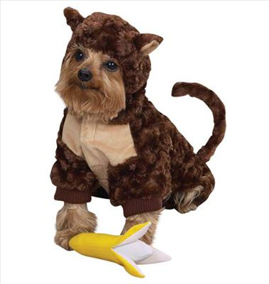 What Type Of Mixed Animal Are You?