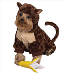 What Type Of Mixed Animal Are You?