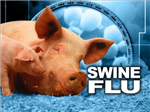 Swine Flu
