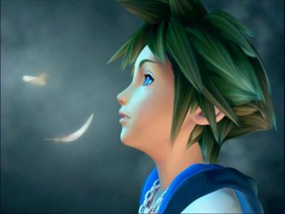 Whats Is Your Characters In Kingdom Hearts???