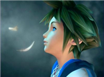 Whats Is Your Characters In Kingdom Hearts???