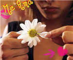 El/Ella T Quiere O Solo Es Mentira?
