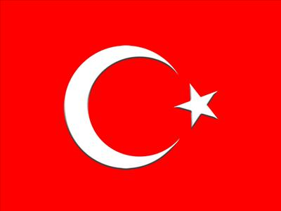 Ne Kadar Türksün? (E. Alişan)