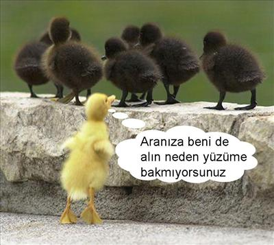 Ne Kadar Ucalısın?