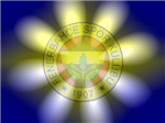 Ne Kadar Fenerbahçe'lisiniz