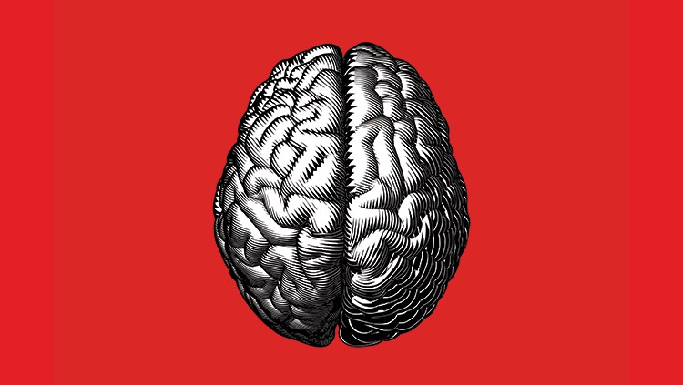 IQ kamu seberapa tingginya?
