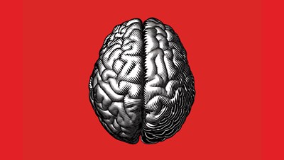 IQ kamu seberapa tingginya?