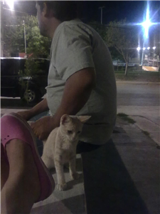 Que Tan Debil Eres?