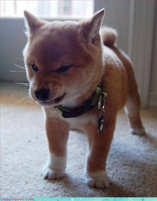 How Cute You Look Today