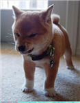 How Cute You Look Today