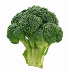 Broccoli Or Miley Cyrus?