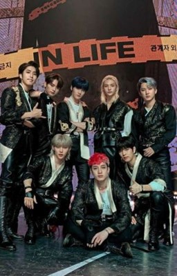 Chi sei degli stray kids