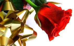 Red Rose