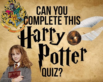 Harry Potter Test