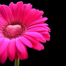 Are You In Love?