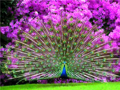 WONDERFULL