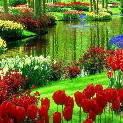 HAVEA NİCE DAY