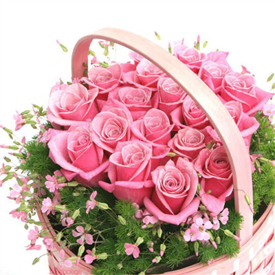 Roses