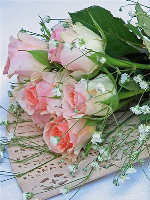 HAVE A NİCE DAY