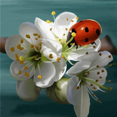 GOOD EVENİNG