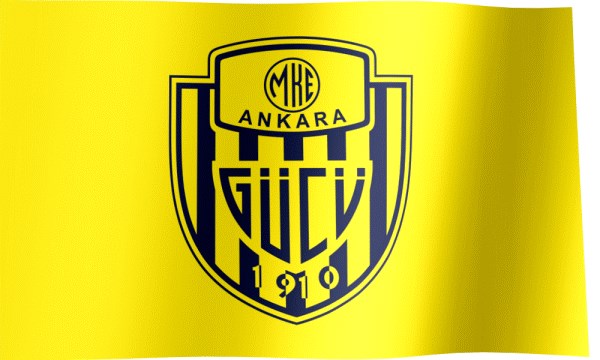 Hangi düzey Ankaragücü taraftarısın?