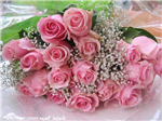 Beautiful Rose Flowers