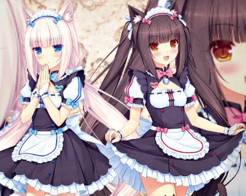 Quel Neko Est Tu