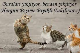 Ne Kadar Komiksin