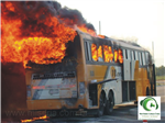 Viajar Nos Ônibus Da Nordeste