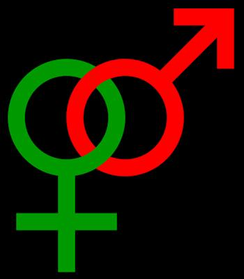 Bist Du Hetero Oder Homo??