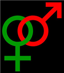 Bist Du Hetero Oder Homo??