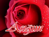 Aşkmı <3 ßoşmu
