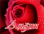 Aşkmı <3 ßoşmu