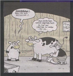 Türkiye'yi Ne Kadar Tanıyosun?