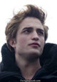 Which Team Are You, Edward Or Jacob?