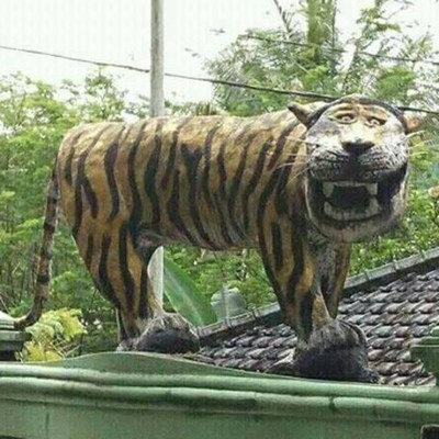 CEK KODAMU