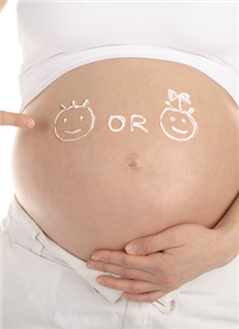 ¿Que Sera Tu Bebe?
