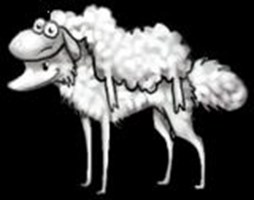 Anung Klaseng Sheep Ka?