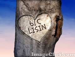 6/C Limisin Degilmisin