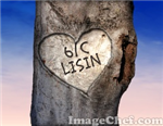 6/C Limisin Degilmisin