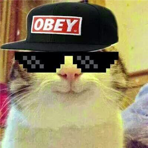 Hangi Youtubersin?