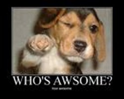 How Awsome Are You In My World?