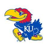 What College Mascot Are You?