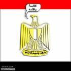هل توافق على نصوص تعديلات الدستور المصري؟ 
