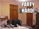 Do You Want To Party?!?