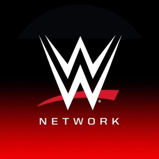 Quanto Conosci Il Wrestling